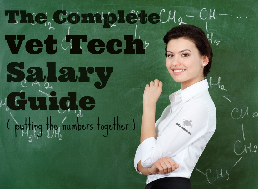 fringe benefits list of veterinariansYour Complete Veterinary Tech Salary Guide   Vet Tech Guide isi8xxbr